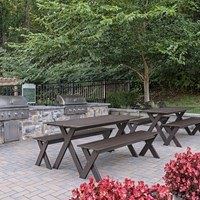 Picnic tables and benches are arranged in a park.